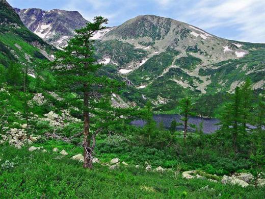 Top 8 Russian nature reserves to visit this summer