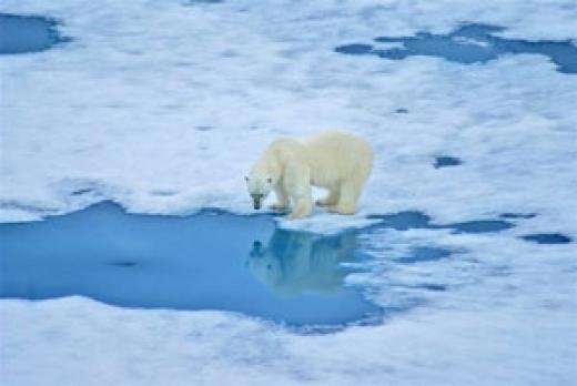 Russian Arctic National Park – russiangeography.com